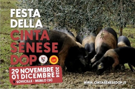 Festa della Cinta Senese DOP